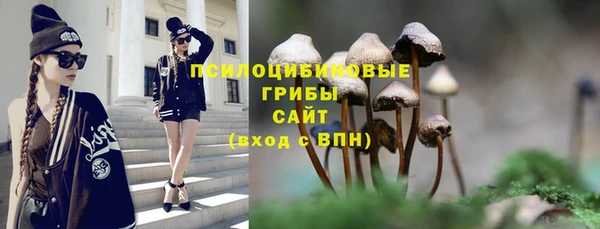гидра Карталы