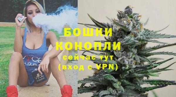 гидра Карталы